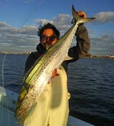 東京湾探釣隊ぼっち 釣果