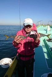 KONAYAーMARU(こなや丸) 釣果