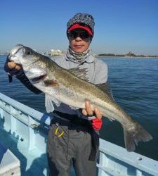 東京湾探釣隊ぼっち 釣果