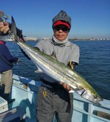 東京湾探釣隊ぼっち 釣果