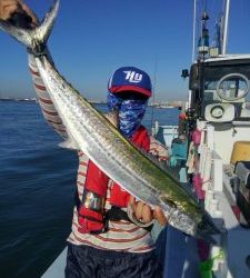 東京湾探釣隊ぼっち 釣果