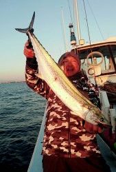 東京湾探釣隊ぼっち 釣果