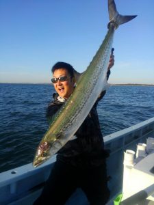 東京湾探釣隊ぼっち 釣果