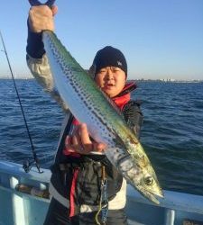 東京湾探釣隊ぼっち 釣果