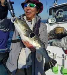 東京湾探釣隊ぼっち 釣果