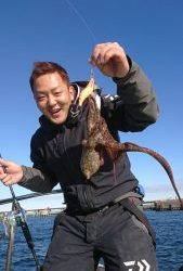 KONAYAーMARU(こなや丸) 釣果