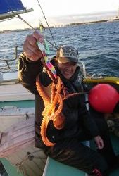 KONAYAーMARU(こなや丸) 釣果