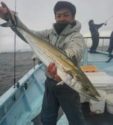 東京湾探釣隊ぼっち 釣果