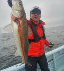 東京湾探釣隊ぼっち 釣果