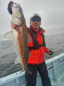 東京湾探釣隊ぼっち 釣果