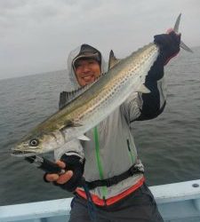 東京湾探釣隊ぼっち 釣果