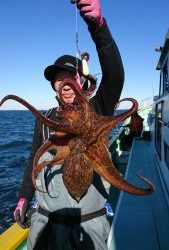 ＫＯＮＡＹＡｰＭＡＲＵ（こなや丸） 釣果