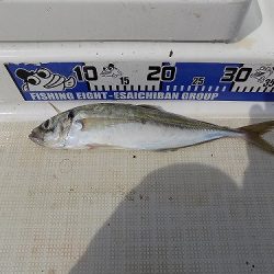 フィッシングボート空風(そらかぜ) 釣果