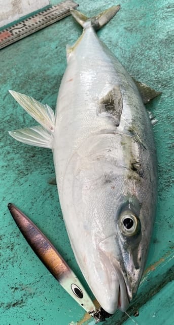 広進丸 釣果