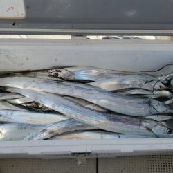 遊漁船 ニライカナイ 釣果