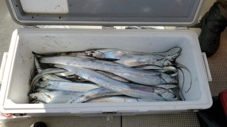 遊漁船 ニライカナイ 釣果