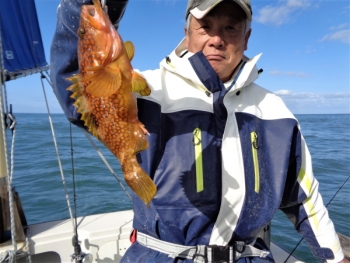 鯛紅丸 釣果