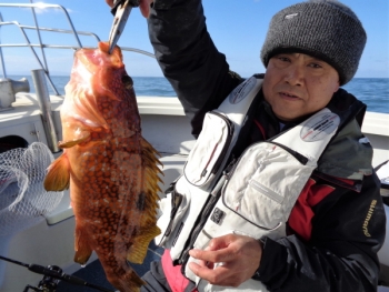 鯛紅丸 釣果