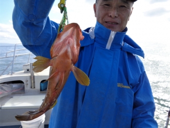 鯛紅丸 釣果