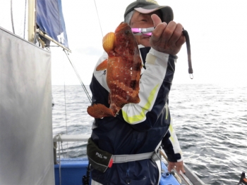 鯛紅丸 釣果