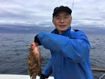 鯛紅丸 釣果