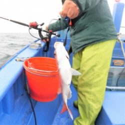 鯛紅丸 釣果
