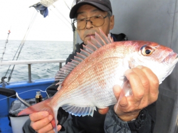 鯛紅丸 釣果