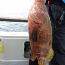 鯛紅丸 釣果
