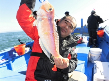 鯛紅丸 釣果