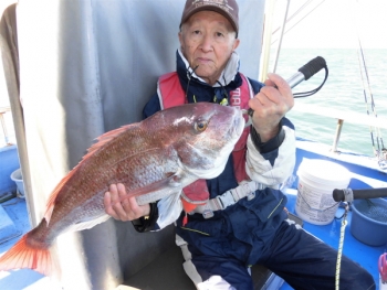 鯛紅丸 釣果