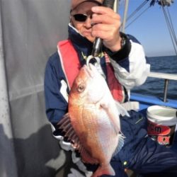 鯛紅丸 釣果