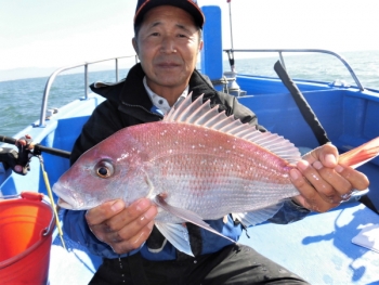 鯛紅丸 釣果