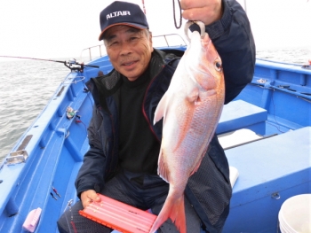 鯛紅丸 釣果