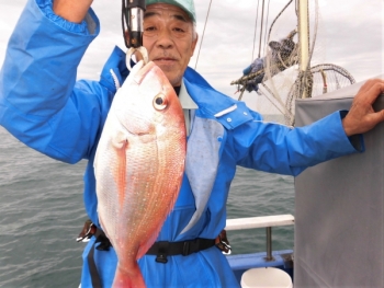 鯛紅丸 釣果