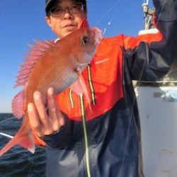 鯛紅丸 釣果