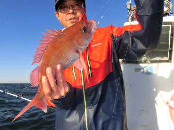 鯛紅丸 釣果