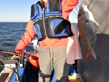 鯛紅丸 釣果