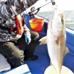 鯛紅丸 釣果