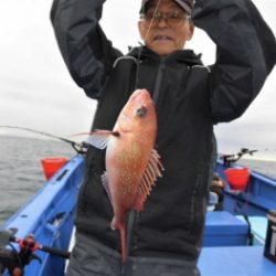 鯛紅丸 釣果