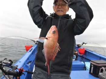 鯛紅丸 釣果
