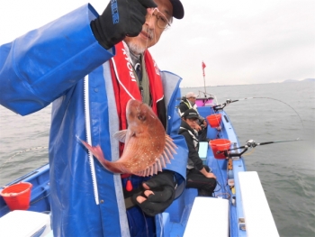 鯛紅丸 釣果