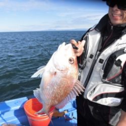 鯛紅丸 釣果