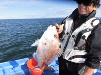 鯛紅丸 釣果