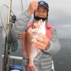 鯛紅丸 釣果