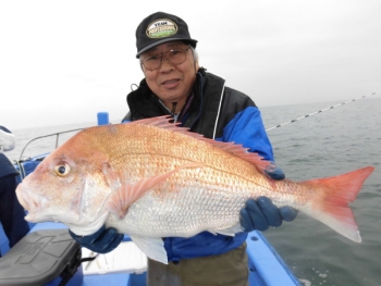 鯛紅丸 釣果