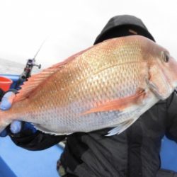 鯛紅丸 釣果