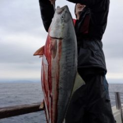 鯛紅丸 釣果