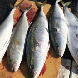 釣船 浦島太郎 釣果