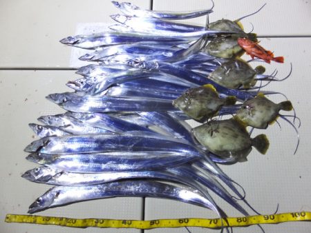 Hit Rush(ヒット ラッシュ） 釣果…