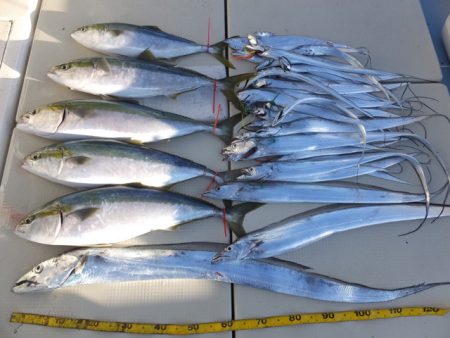 Hit Rush(ヒット ラッシュ） 釣果…